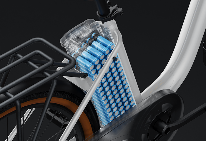 36V 15.6AH Removable battery