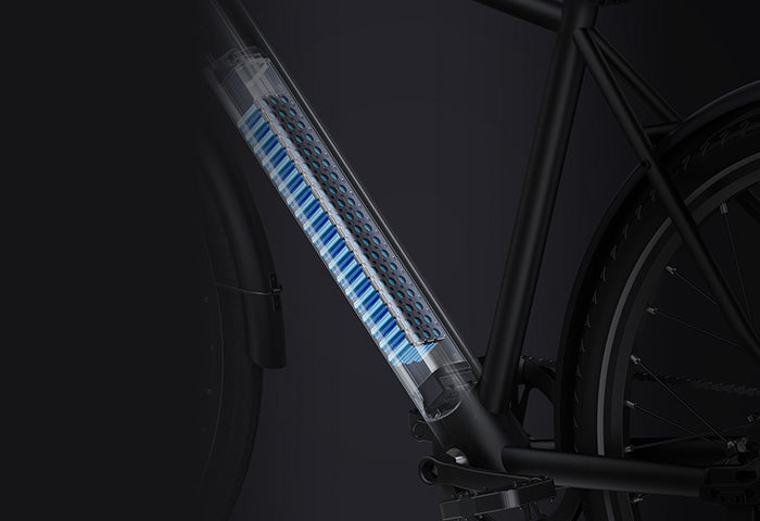 36V/9AH removable battery