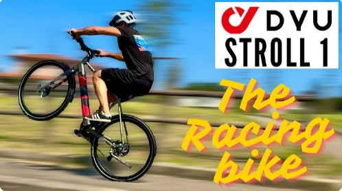Influencer Assessment of DYU Stroll 1 700C City Electric Bike