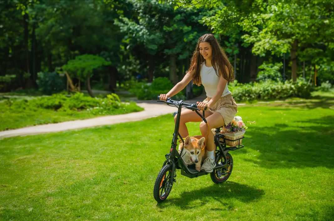 Nederland opent een nieuw tijdperk van micromobiliteit — E-steps eindelijk legaal vanaf juli