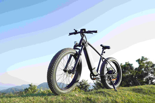 Full-Suspension Electric Bike