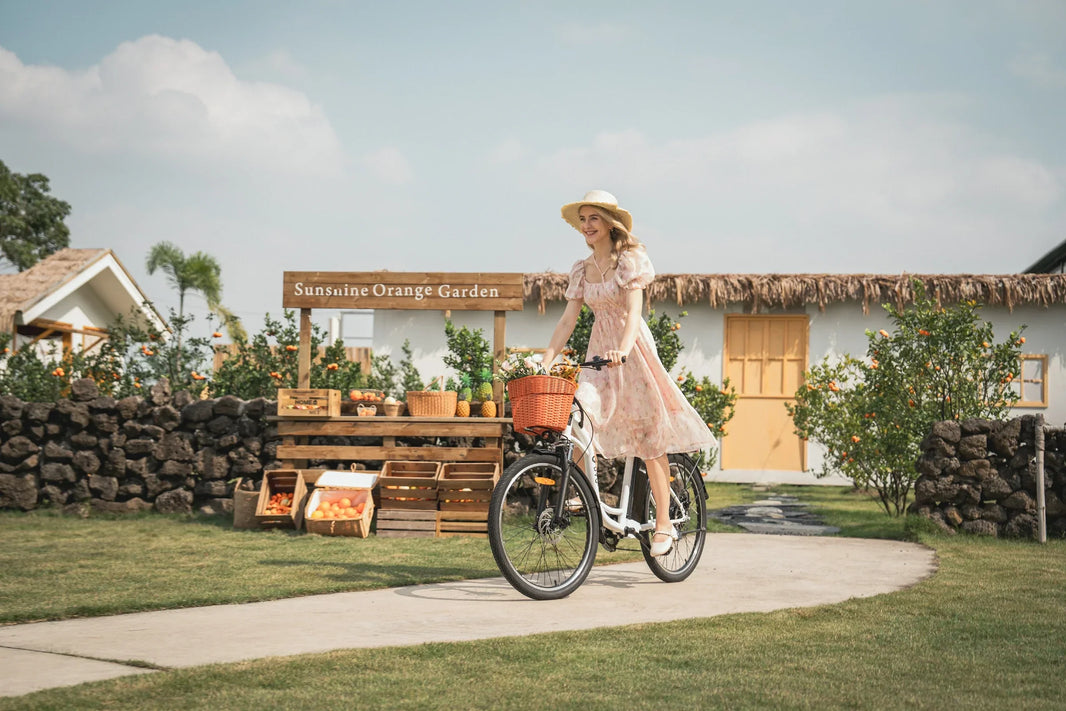 DYU C6 boodschappen e-bike bij een Nederlandse winkelroute