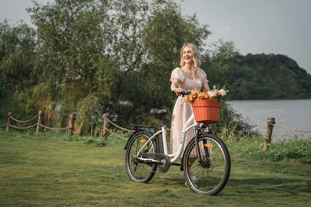 DYU C6 elektrische stadsfiets met mand voor Nederlandse bagageverdeling