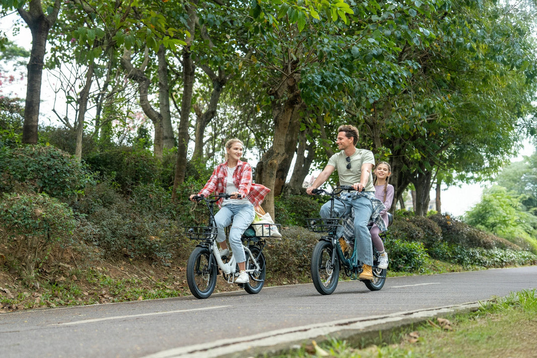 DYU C9 langeafstands e-bike op een Nederlandse weekendroute