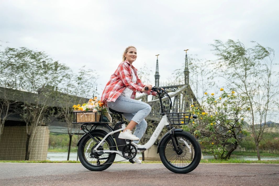 DYU C9 e-bike bij een brug voor Nederlandse accugids