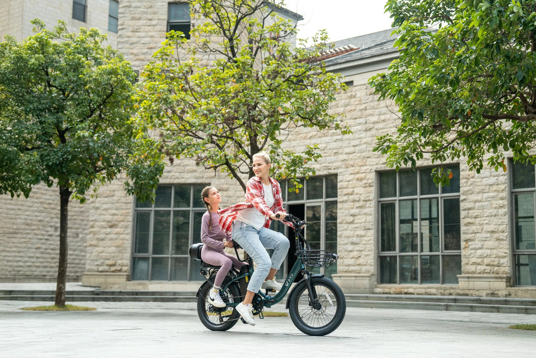 DYU C9 langeafstands e-bike voor gezinsritten