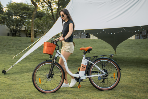 DYU C6 Pro elektrische fiets met oranje mand en luxe stoel op een grasveld.