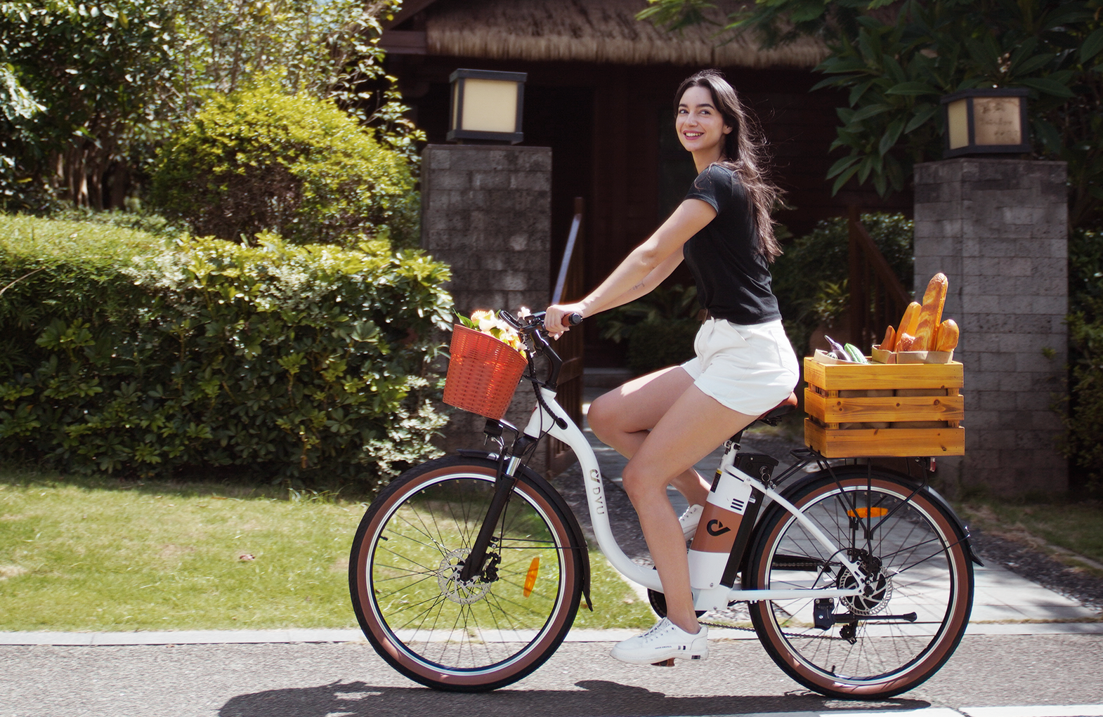 DYU Cycle eBike Features