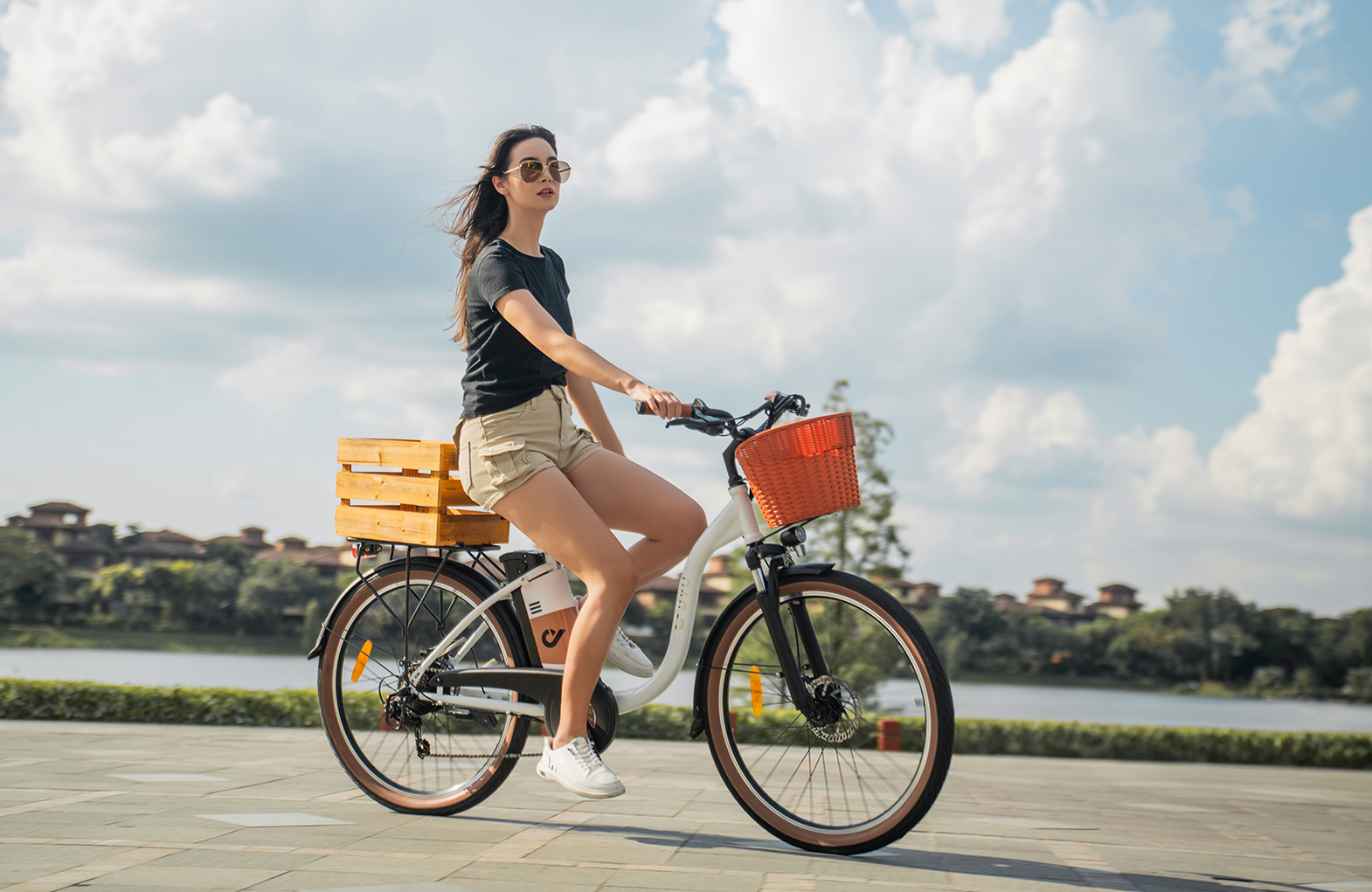 DYU Cycle eBike Features