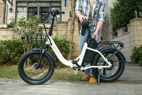 DYU C9 20Inch E-bike met groot bereik
