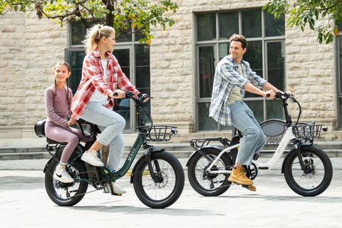 DYU C9 20Inch E-bike met groot bereik