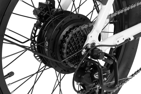 DYU C9 20Inch E-bike met groot bereik