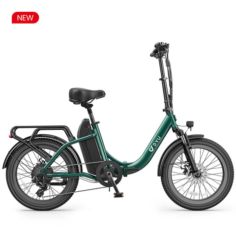 DYU C9 20Inch E-bike met groot bereik