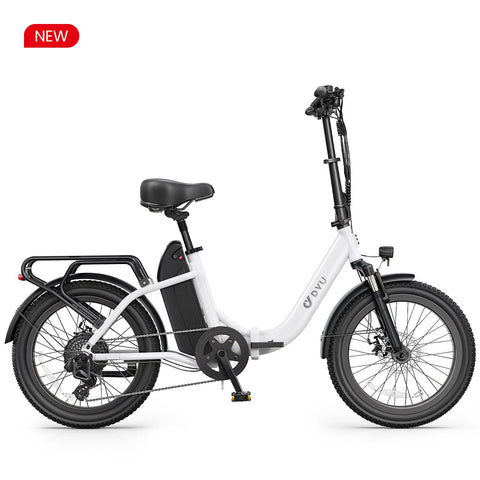 DYU C9 20Inch E-bike met groot bereik