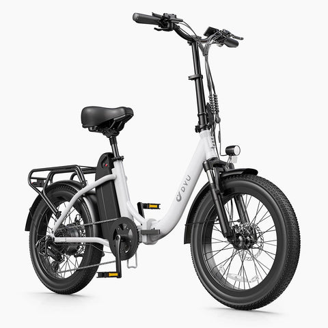 DYU C9 20Inch E-bike met groot bereik