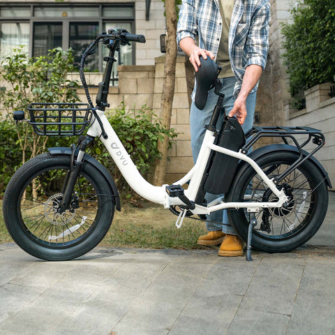 DYU C9 20Inch E-bike met groot bereik