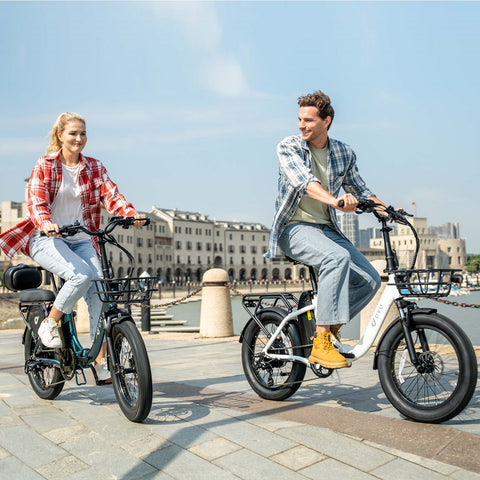 DYU C9 20Inch E-bike met groot bereik