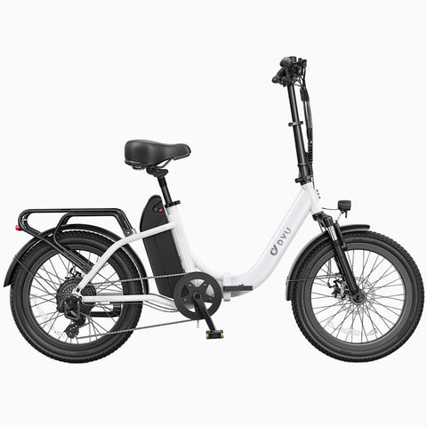 DYU C9 20Inch E-bike met groot bereik