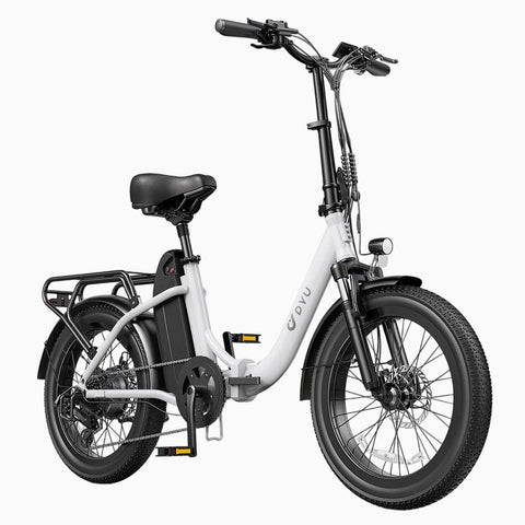 DYU C9 20Inch E-bike met groot bereik