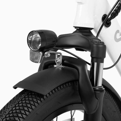 DYU C9 20Inch E-bike met groot bereik