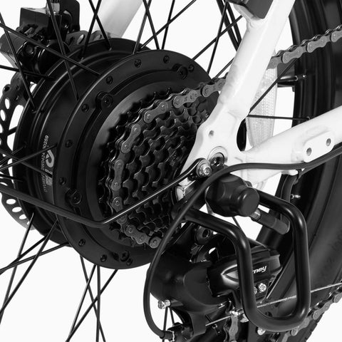 DYU C9 20Inch E-bike met groot bereik