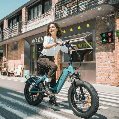 DYU FF500 20 Inch Fat Tire Elektrische Fiets