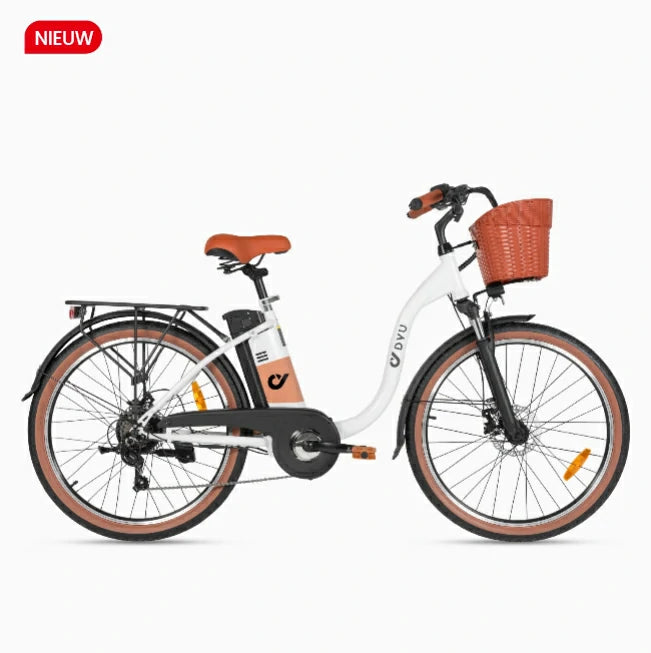 DYU C6 Pro 26 Inch Stadsfiets met Elektrische Ondersteuning