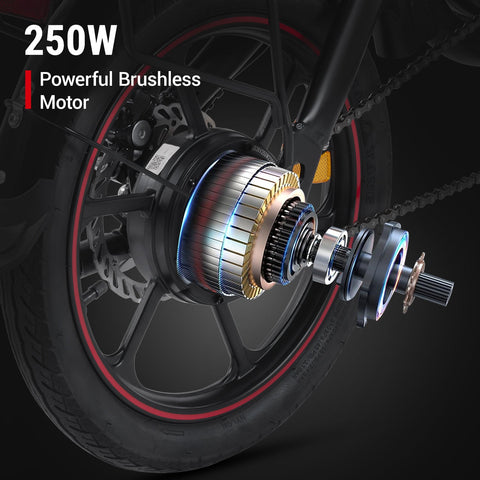 DYU D16 16 inch Full Folding Electric Bike